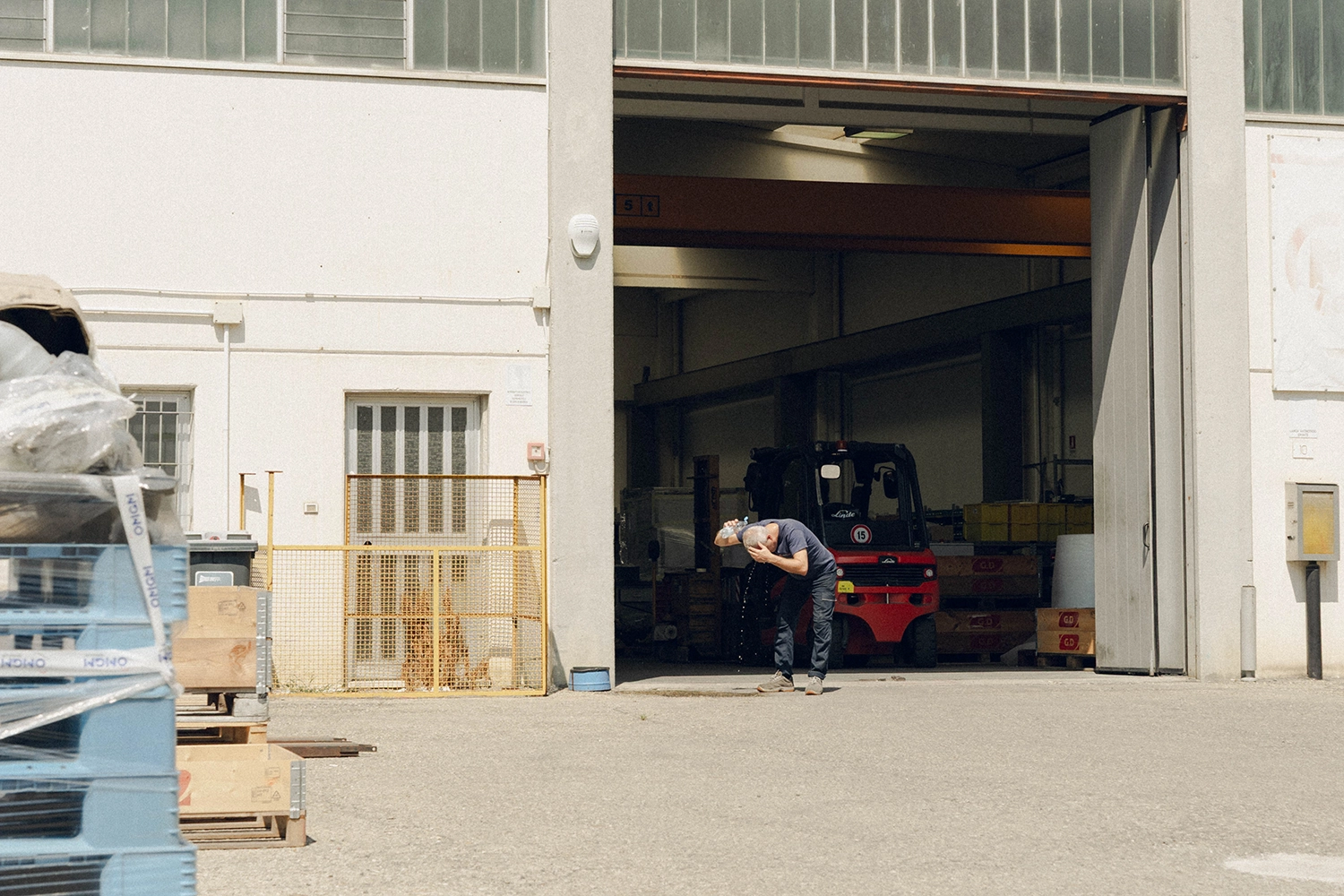 Cool-Noons-1stWINNER_Giorno 41-Beatrice-Cane