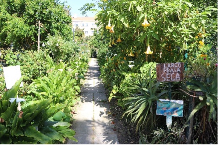 Lisbon-path1-17