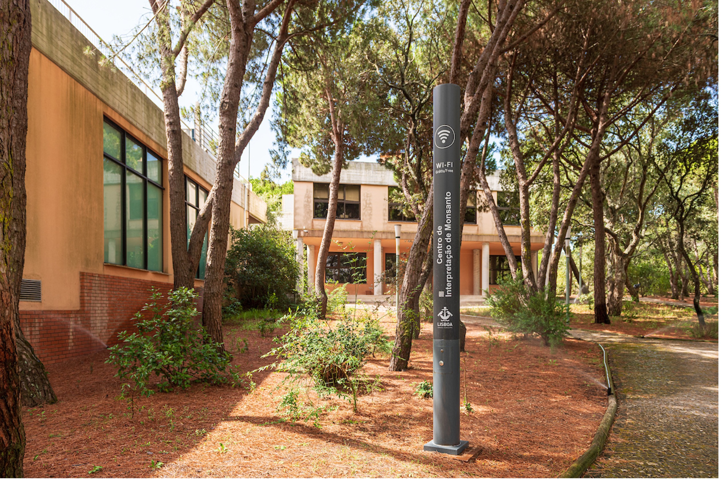 Lisbon-path2-16