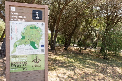 Lisbon-path2-17